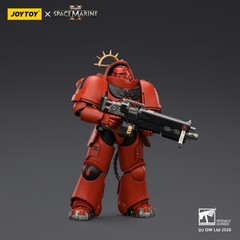 【In Stock】HIPLAY JOYTOY Space Marine 2 Heavy Intercessor (Game Edition) Figure