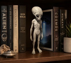 In Vivo 17 Inspired Alien Figurine 18cm Hand Painted Disclosure Day Collectible