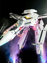 VALKYRIE FACTORY Macross ARCADIA VF-1S Itizyou Hikaru 1/60 Action Figure Model