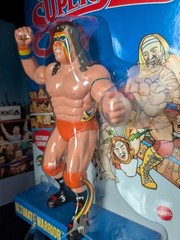 2026 WWE LJN Superstars ULTIMATE WARRIOR Mattel WWF Retro Case Fresh FAST SHIP