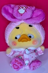 UpsetDuck Care Bears Be Rainbow Duck Plush Blind Box New – Choose Character