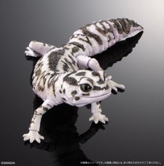 Bandai Ikimono Daizukan Advance SELECTED EDITION 02 Online Ver. Complete Set 4