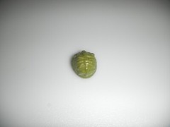1986 Claymore Helmet Special Mission Brazil G.I. GI Joe Figure 3.75 Vintage ARAH