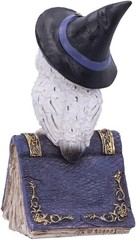 Nemesis Now Avian Spell Owl Figurine Purple 12.5cm, Resin, Blue Avian Spell Figu
