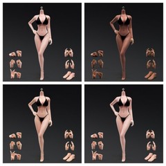 ANT 1:6 Flexible Medium Breast 12 inch Female Seamless Action Figure Body Dolls