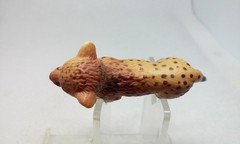 Schleich Cheetah Cub 2 1/4″ Cat 14327 Wildlife Safari Animal Figure Germany 2003