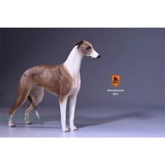 MrZ 1/6 Greyhound Pet Dog Animal Model Resin Figure Decor Toy Ornament Accessory