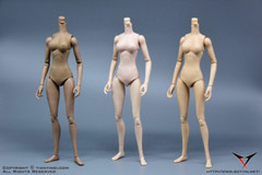 USA 1/6 Female Flexible Pale Woman Body 12” Thin Anime Action Figure Model Toys