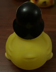 Lot of 4 Promo Rubber Ducks – Ken Ganley Jeep, Autodesk, Tootris, WSU & HBC