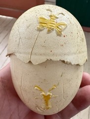 Vtg 80s Ideal MANGLOR Egg Only 1984