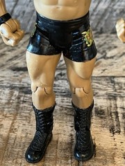 WWE Davari Wrestling Figurine Jakks Pacific 2003