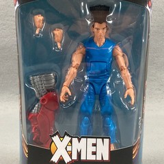 X-Men Age of Apocalypse Marvel Legends LEGION 6-Inch AF Hasbro Build-A-Figure