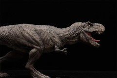 DINO DREAM 1/30 Tyrannosaurus Rex Dark Figure Dinosaur Animal Model Gift Toys