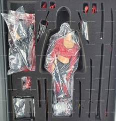 SHI 1:6 Scale Collectible Action Figure 2015 PHICEN #PL2014-71-A