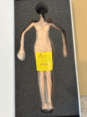1/6 12″ Hot Stuff New Gen Edation Seamless Female Body 2.0 Silicon Action Figure
