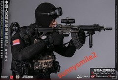 DAMTOYS 78073 1/6 PLA Navy Marine Corps Combat Frogman Special Forces In Stock