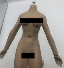 1/6 Female Flexible Seamless Doll Body For 12″ Greyish Posable Action Figure A