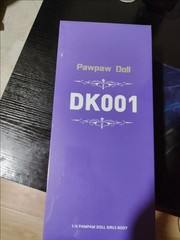 PawPawDoll DK001A 1/6 Female Body Silicone With Steel Skeleton For 1/6 Figure