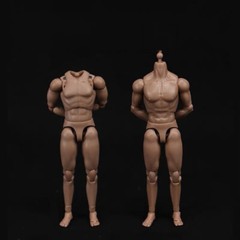 1/12 Scale Standard Male Body & Hands Model for 6″ Figure