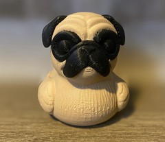 Pug Duck