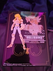 Cygnus Hyoga POWER OF Gold