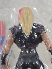 WWE Natalya Divas 2015 Mattel with packaging