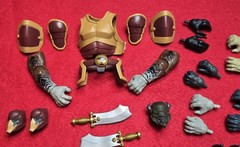 Animal Warriors Of The Kingdom Ultra Lot of 40 pieces