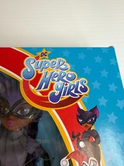 Super Hero Girls Doll Figure Set DC Comics Supergirl Catwoman Batgirl Collect Ni