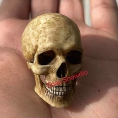 1/6 Scale Human Beings Skeleton Resin Model for 12″ Action Figure Accessory Toys
