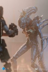 Battle Damage Alien Warrior 1:18 Aliens Action Figure PX Exclusive Hiya Toys