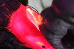 Lava Fall For Original Snake Mountain and it lights up MOTU He-man