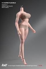 T307 1/6 Female Makeup Detail Body Fitness Plump muscle Bust 12″ Action Figure