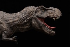DINO DREAM 1/30 Tyrannosaurus Rex Dark Figure Dinosaur Animal Model Gift Toys
