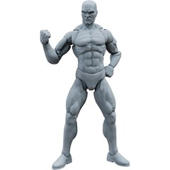 Highly Articulated 1:12 Scale Action Figure Blanks – Customizable with Stand, Sh