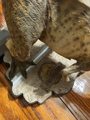 Chronicle Collectibles Jurassic Park Breakout T-Rex Statue