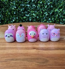 Squish-a-long by Squishmallows Pink Bundle (Series 3 & 4)