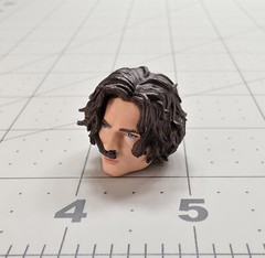 McFarlane Dune Paul Atreides Male Head Timothee 7″ DC Custom Fodder Parts