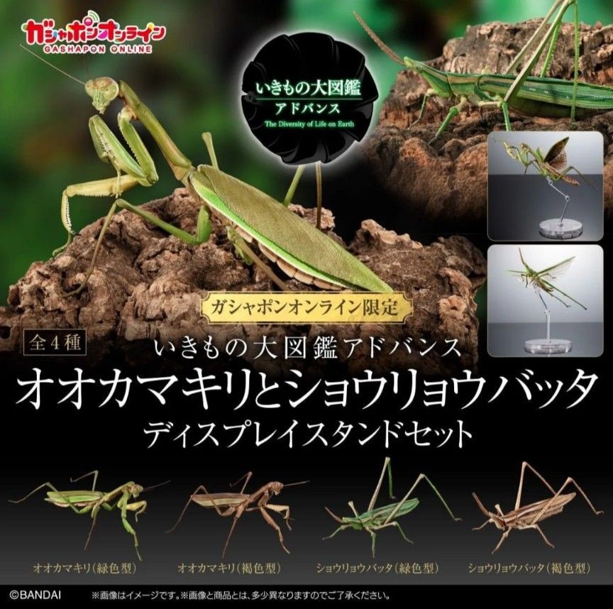The Diversity of Life on Earth Mantis & Grasshopper w/ Wings & Stand Japan