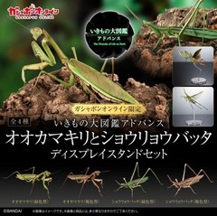 The Diversity of Life on Earth Mantis & Grasshopper w/ Wings & Stand Japan