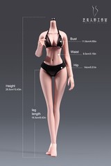 1/6 Female Pale Body Flexible Large Breast Thin Waist 12″ Action Figure +Details