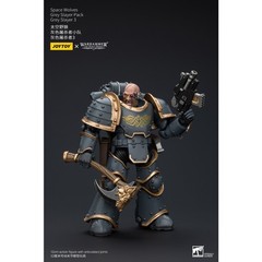 1PCS JOYTOY Warhammer 40K 1/18 Action Figure Space Wolves Grey Slayer Pack Mode