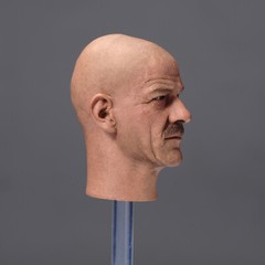 1/6 Bryan Cranston Heisenberg Teacher Male Head Sculpt Model 12in Action Figures