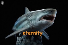 W-Dragon 1/35 Megalodon Prehistoric Shark Dinosaurs Model Statue Toy IN STOCK