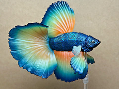 Bandai Capsule Toy Creatures Advanced Encyclopedia Betta (Full Moon Mustard Yell