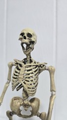 101TOYS NO.ES002 Palm Elf Series Skeleton Body 1/12 Action Figure Collectible