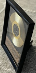 Mini Brands Really Works RARE GOLD VINYL RECORD