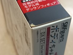 SH Figuarts(SHF) Body Chan Sports Edition Dx Set Gray Color Figure Box C8 last