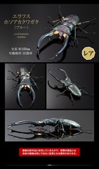 The Diversity of Life on Earth Advance Stag Beetle 02 w/ Display Stand & Wing