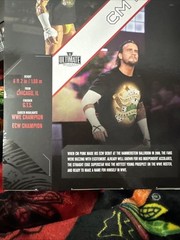 WWE Mattel Creations Ultimate Edition CM Punk ECW Exclusive AEW LJN WWF ELITE