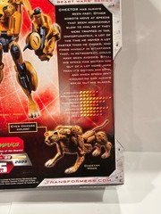 Transformers Universe 25th Anniversary Deluxe Class Cheetor Figure 2008 MOC